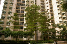 Blk 394 Bukit Batok West Avenue 5 (Bukit Batok), HDB 5 Rooms #333672